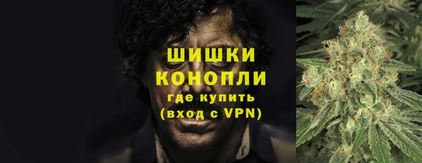 бошки Пересвет