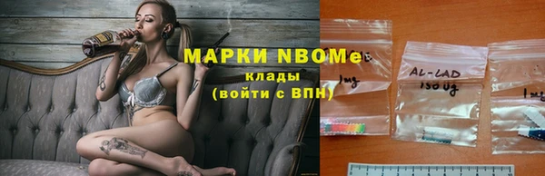 амф Пестово