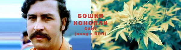 соль ск Переславль-Залесский