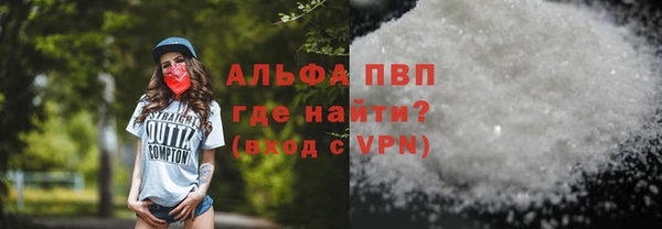 амф Пестово