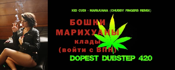 амф Пестово