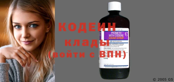 бошки Пересвет