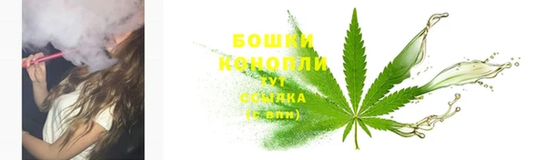 амф Пестово