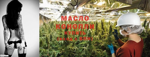 бошки Пересвет