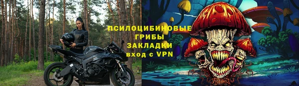 амф Пестово
