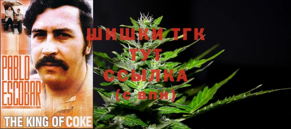 бошки Пересвет