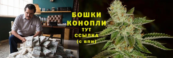 соль ск Переславль-Залесский